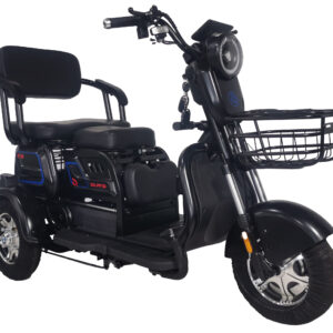 Triciclo eléctrico, scooter de 3 ruedas, motocicleta eléctrica de tres ruedas para pasajeros adultos a precio económico.